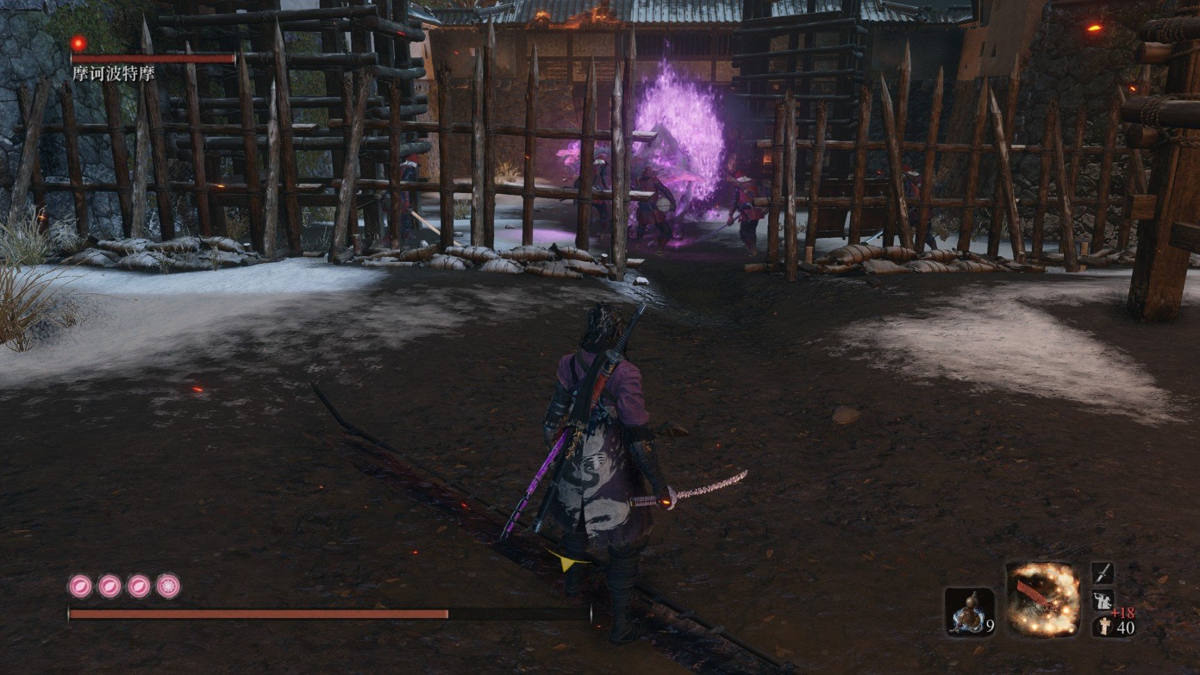 巫师3：狂猎 年度版 截图19