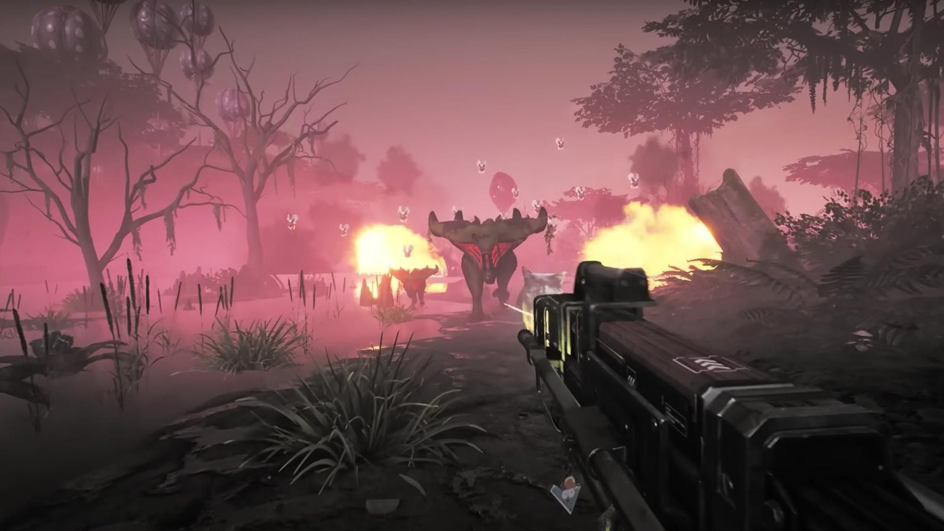 F1 2024 豪华版 截图12